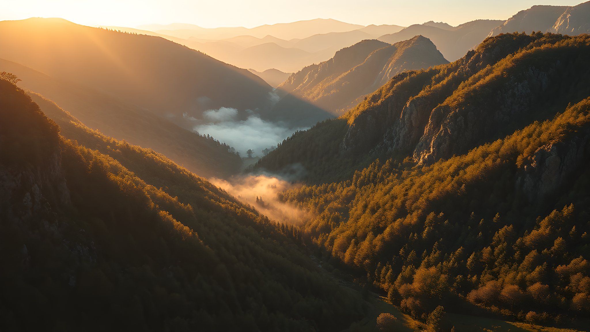 Artvin Arhavi'de Türk Yıldızları nefes kesti — Gündem