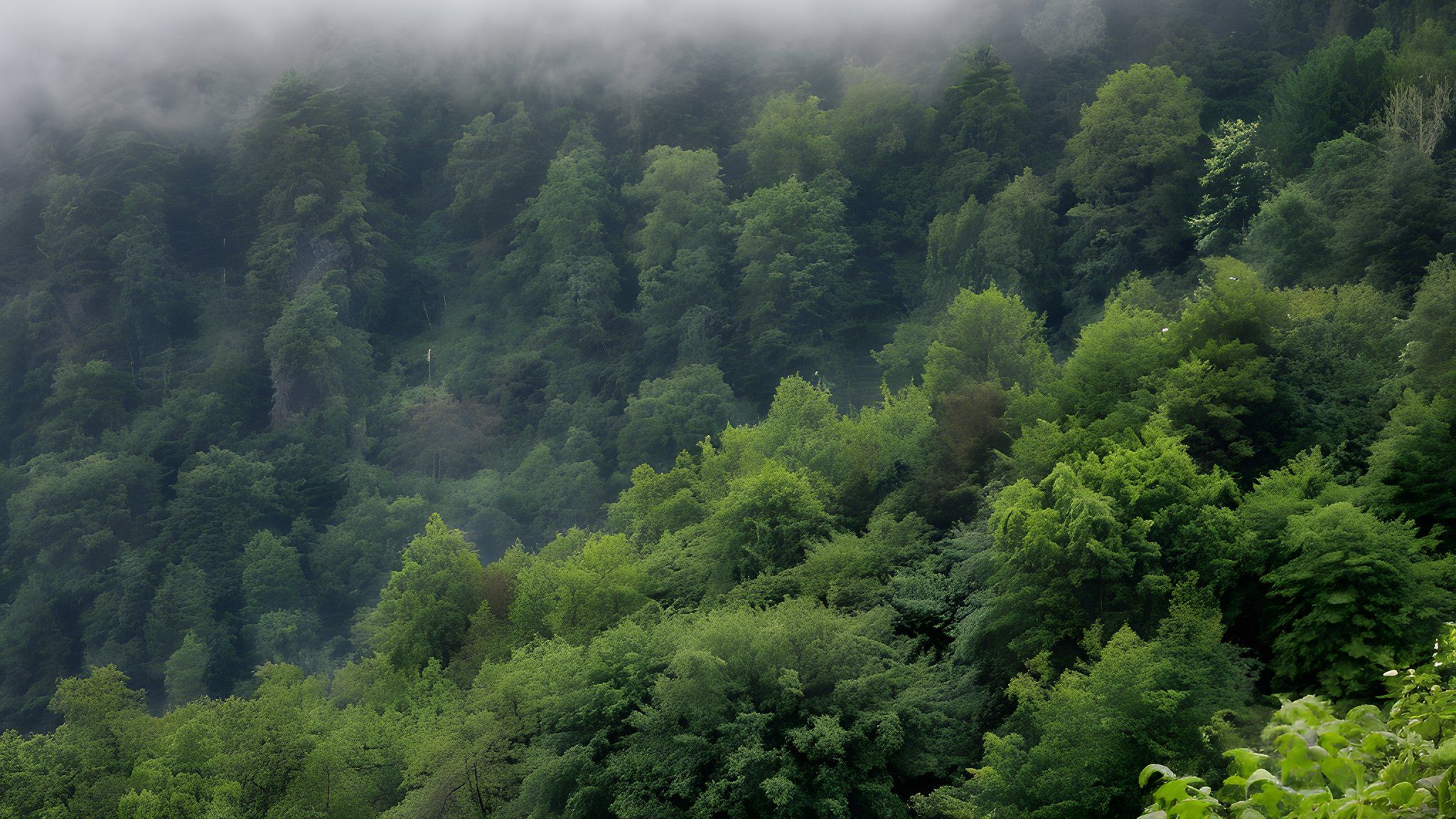 Artvin İş Adamı Yaşar Altunkaya Vefat Etti — Ekonomi