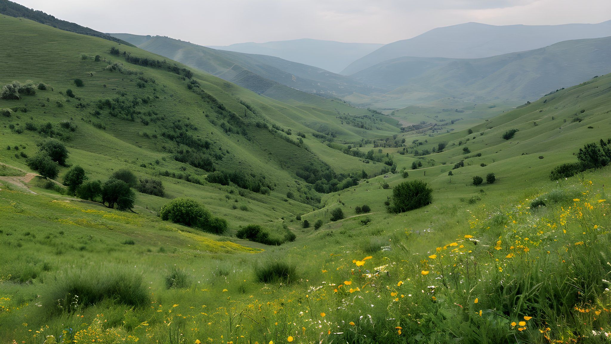 Kafkasör'de Doğa ve Şifa Buluşuyor — Turizm