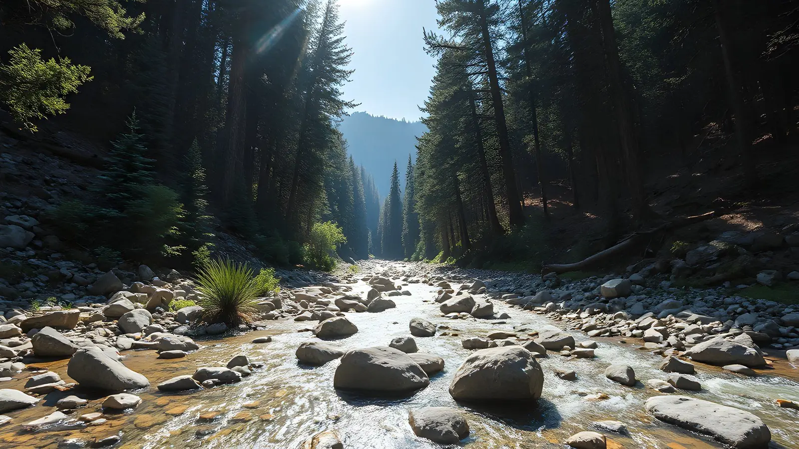 Artvin'de Doğa Sporları İçin Yeni Kulüp Kuruldu — Turizm